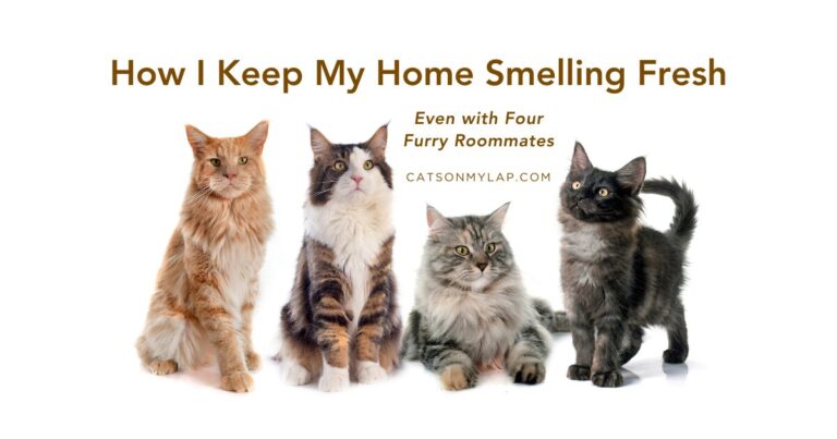How I Keep My Home Smelling Fresh