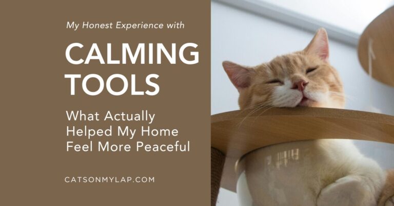 My Honest Experience with Calming Tools