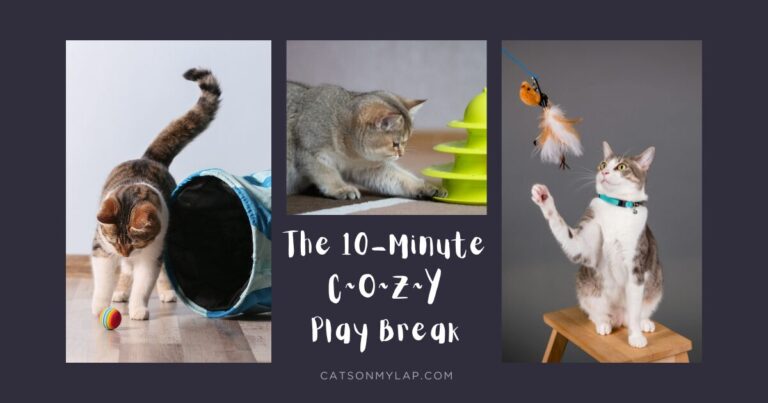 The 10-Minute Cozy Play Break