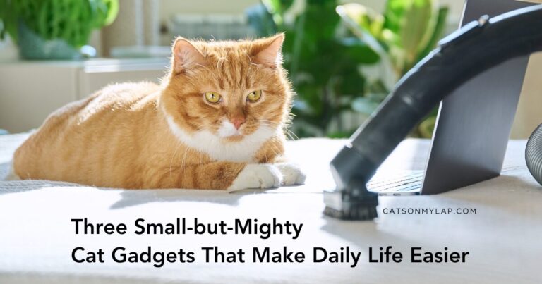 Three Small-but-Mighty Cat Gadgets
