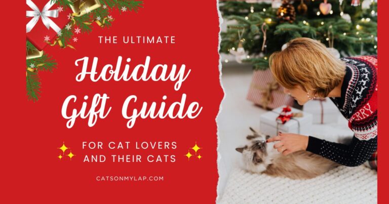 Ultimate Holiday Gift Guide Cat Lovers